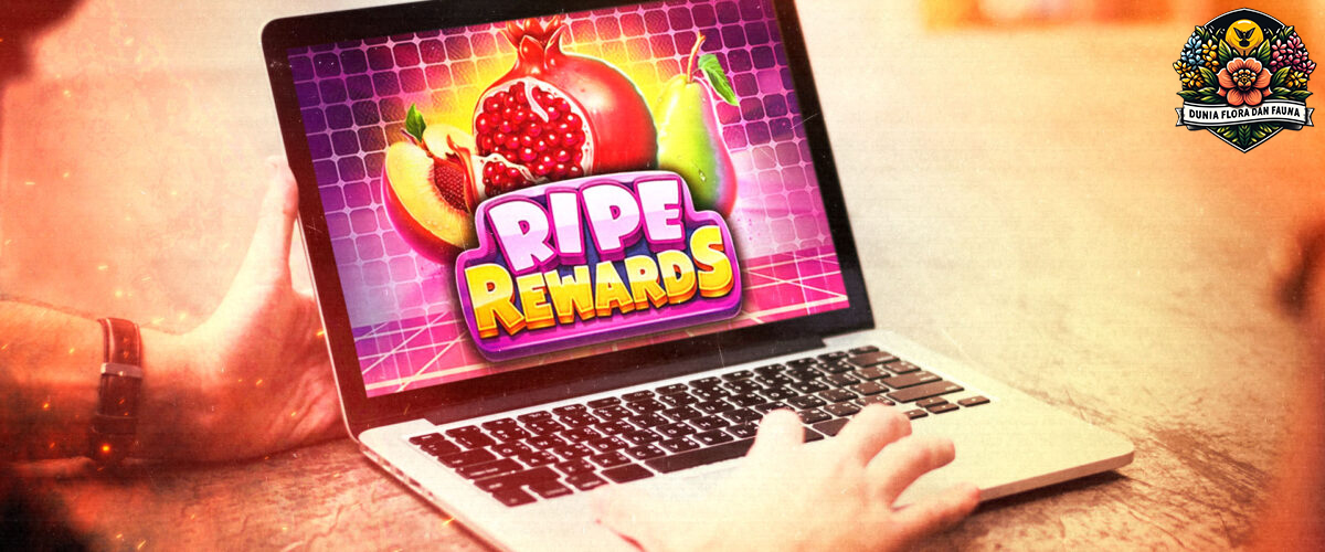 Ripe Rewards: Peluang Menang Besar di Slot Pragmatic Play