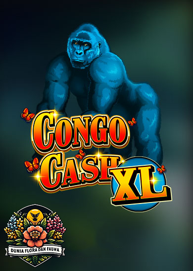 Congo Cash XL: Temukan Keberuntungan di Slot Online Bertema Hutan Afrika