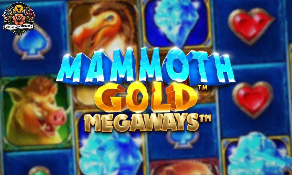 Mammoth Gold Megaways: Slot Pragmatic Play Penuh Kejutan