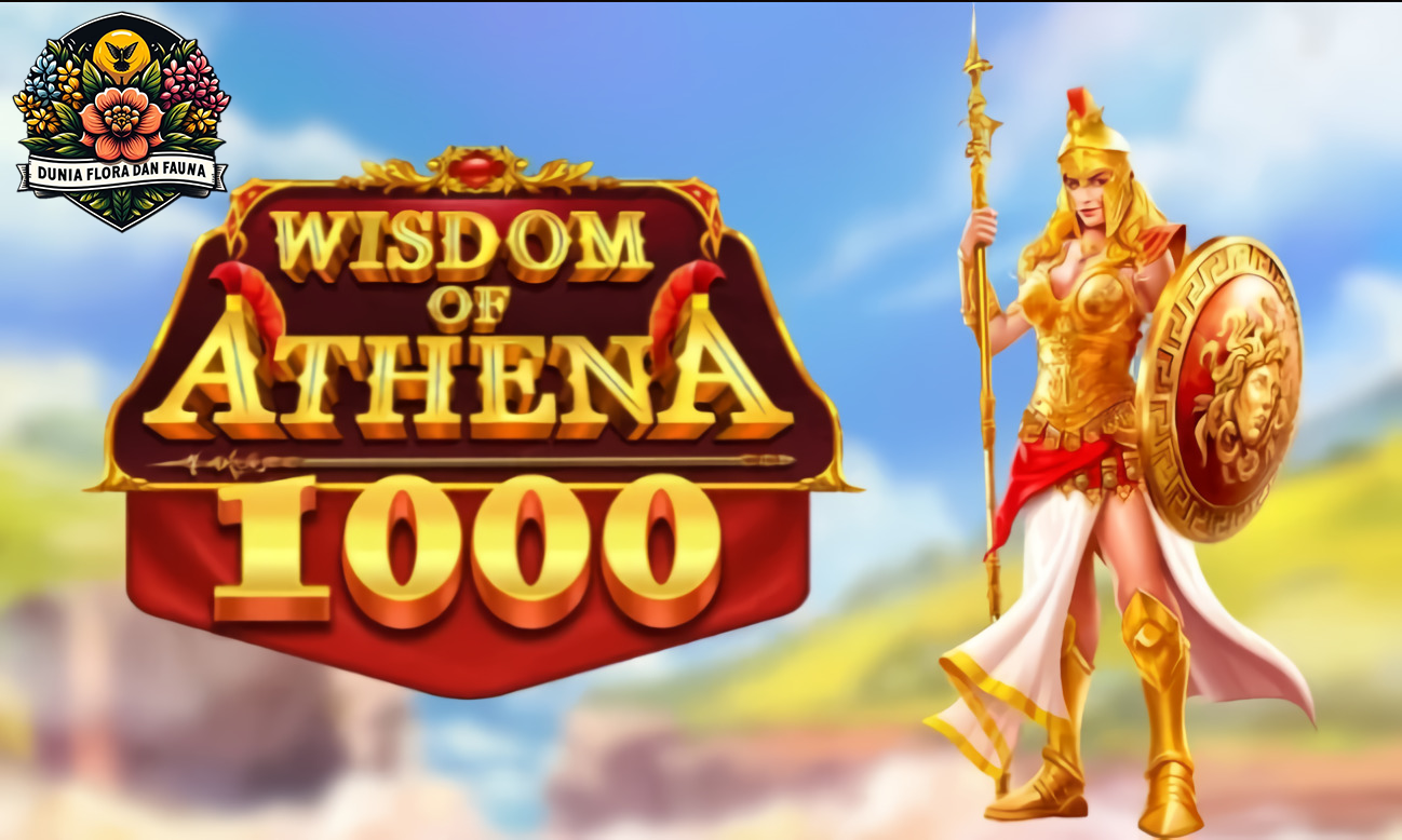 Wisdom Of Athena 1000: Slot Gacor dengan Kemenangan Tanpa Batas