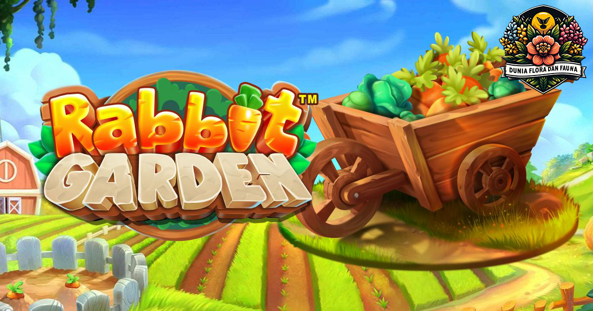 Rabbit Garden: Kejar Keberuntungan di Slot Terbaru dari Pragmatic Play