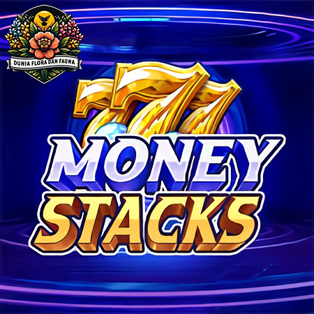 Money Stacks: Cara Cepat Mendapatkan Keuntungan Besar di Pragmatic Play!