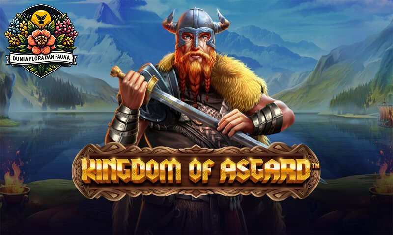 Kingdom Of Asgard: Cara Maksimalkan Kemenangan Jacpot Anda