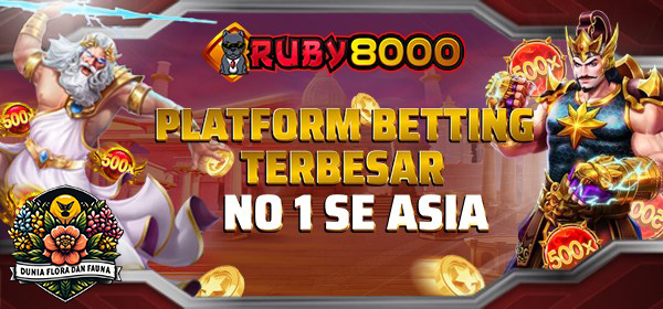 Ruby8000: Situs Gacor Hari Ini dengan Peluang Menang Besar!