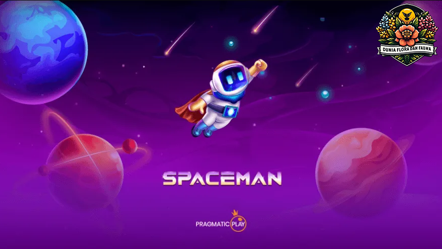 Terbang Setinggi Angkasa Bersama Spaceman dan Raih Pengganda Hingga 5.000x!