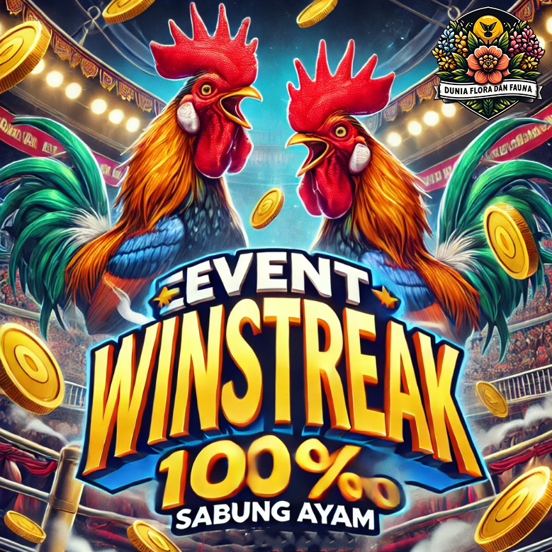 Event Winstreak & Losestreak Sabung Ayam: Menang atau Kalah, Tetap Untung!