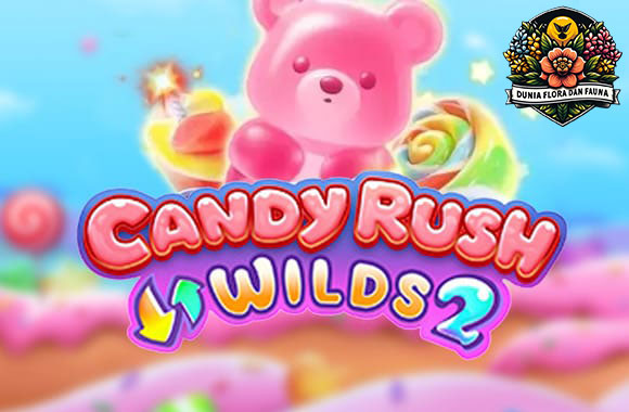 Candy Rush Wilds 2: Permainan Slot Penuh Aksi dan Bonus!