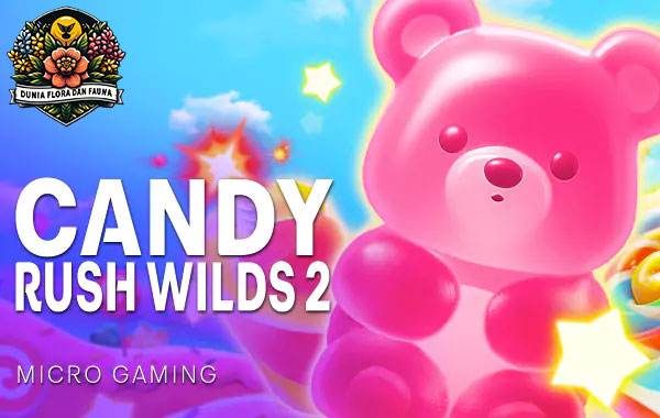 Candy Rush Wilds 2: Permainan Slot Penuh Aksi dan Bonus!