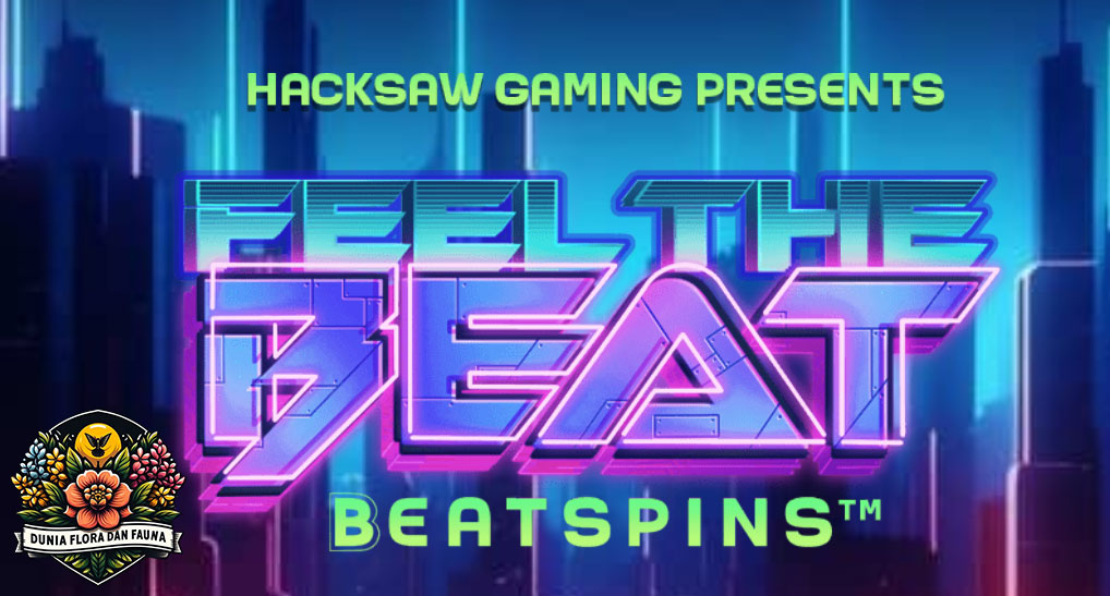 Feel The Beat: Menghidupkan Ritme dalam Setiap Detak Musik