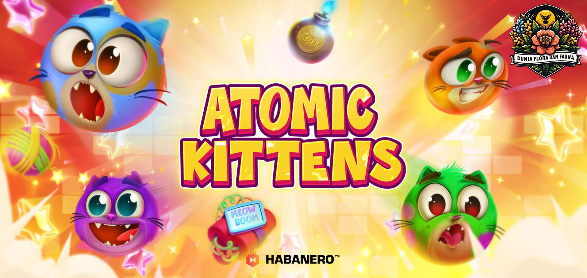 Atomic Kittens: Kombinasi Ledakan Seru dan Kucing Menggemaskan