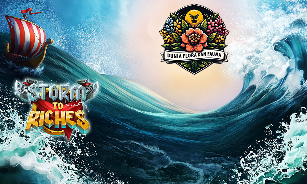 Storm to Riches: Raih Kekayaan di Tengah Badai Keberuntungan!