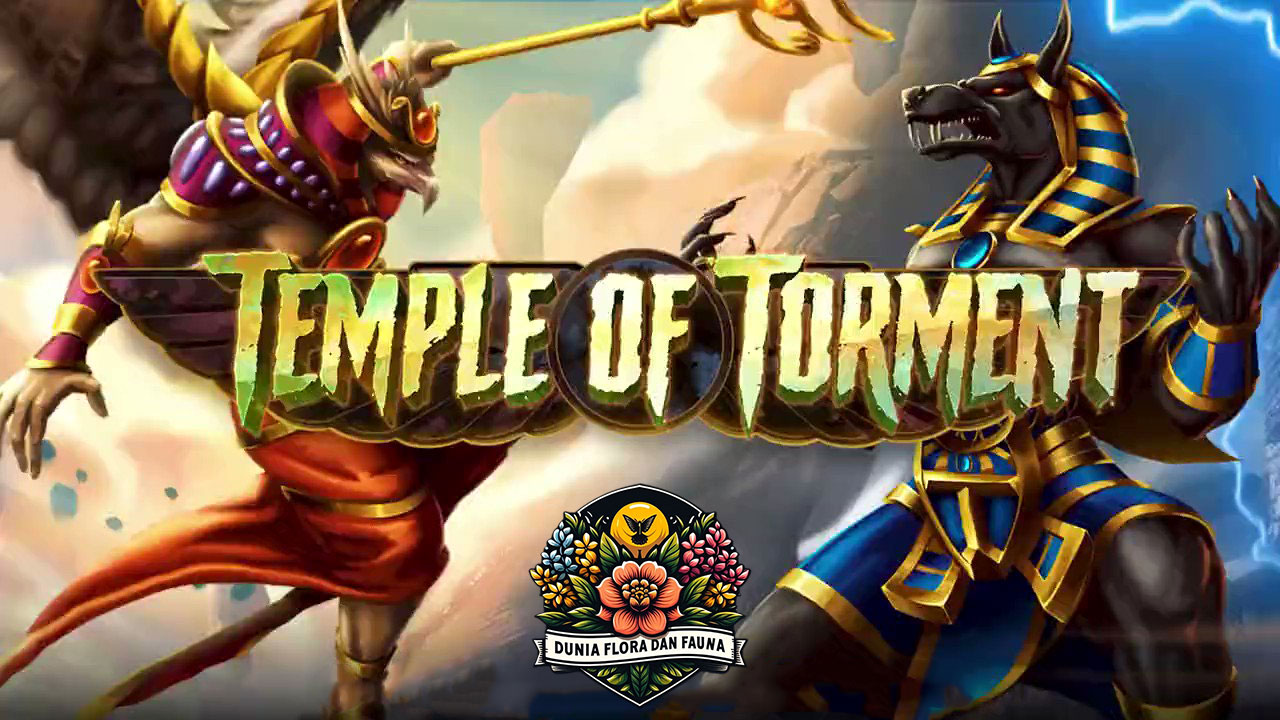 Temple of Torment: Kuil Legenda Yang Penuh Misteri dan Bahaya