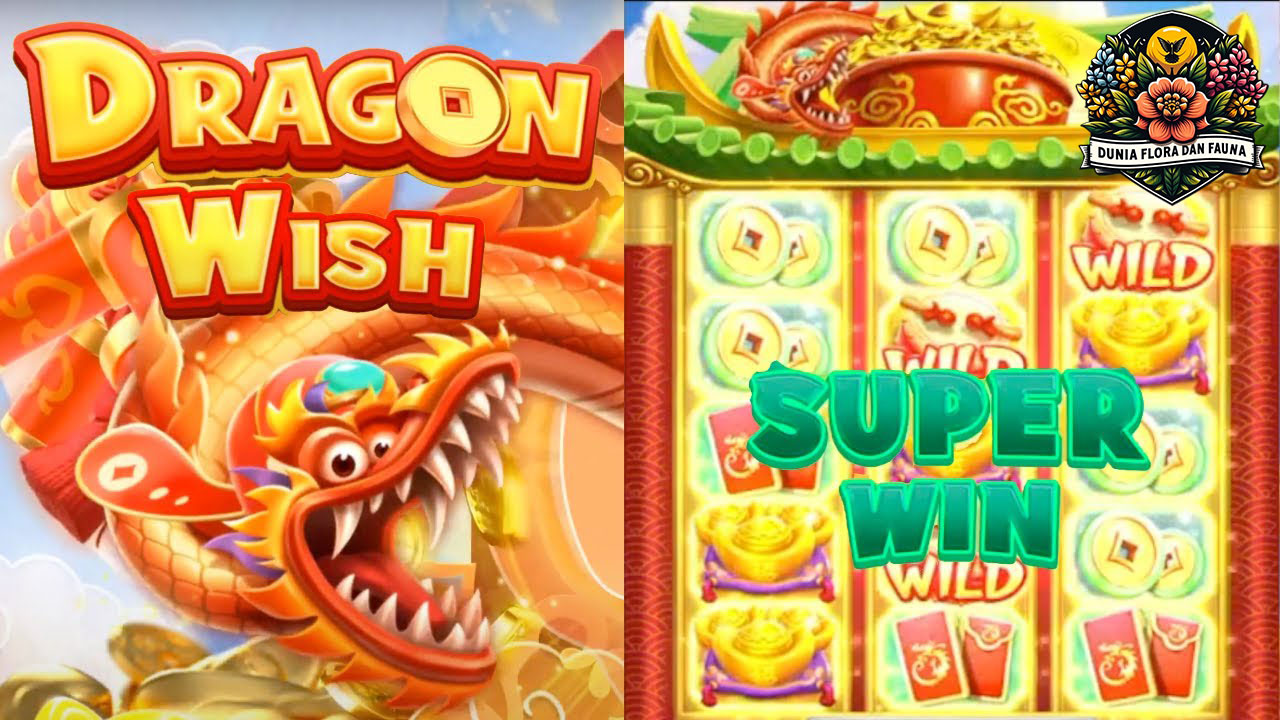 Dragon Wish: Ketika Harapan dan Keberanian Bersatu