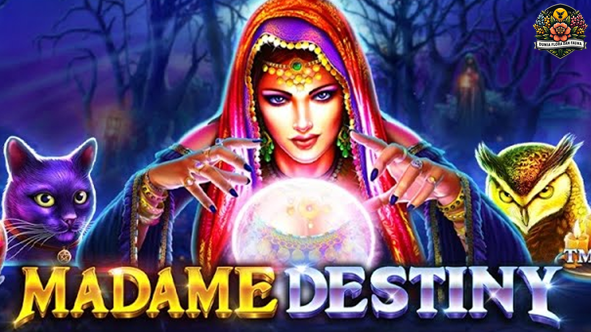 Slot Madame Destiny: Tiket Menuju Kekayaan