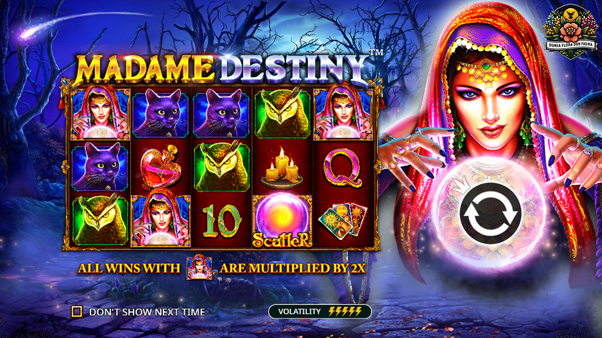 Slot Madame Destiny: Tiket Menuju Kekayaan