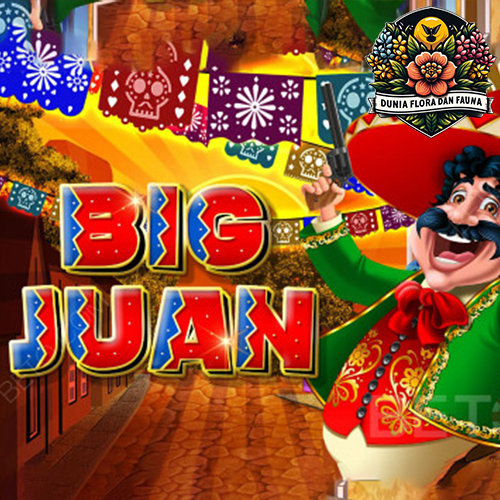 Big Juan: Slot Meksiko dengan Bonus dan Simbol Khas