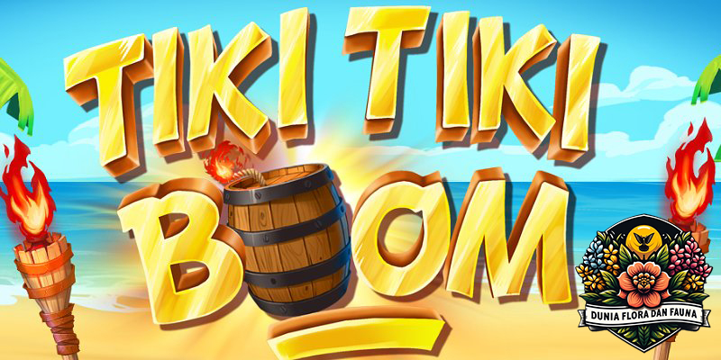 Tiki Tiki Boom: Misteri Ledakan Keberuntungan yang Menanti