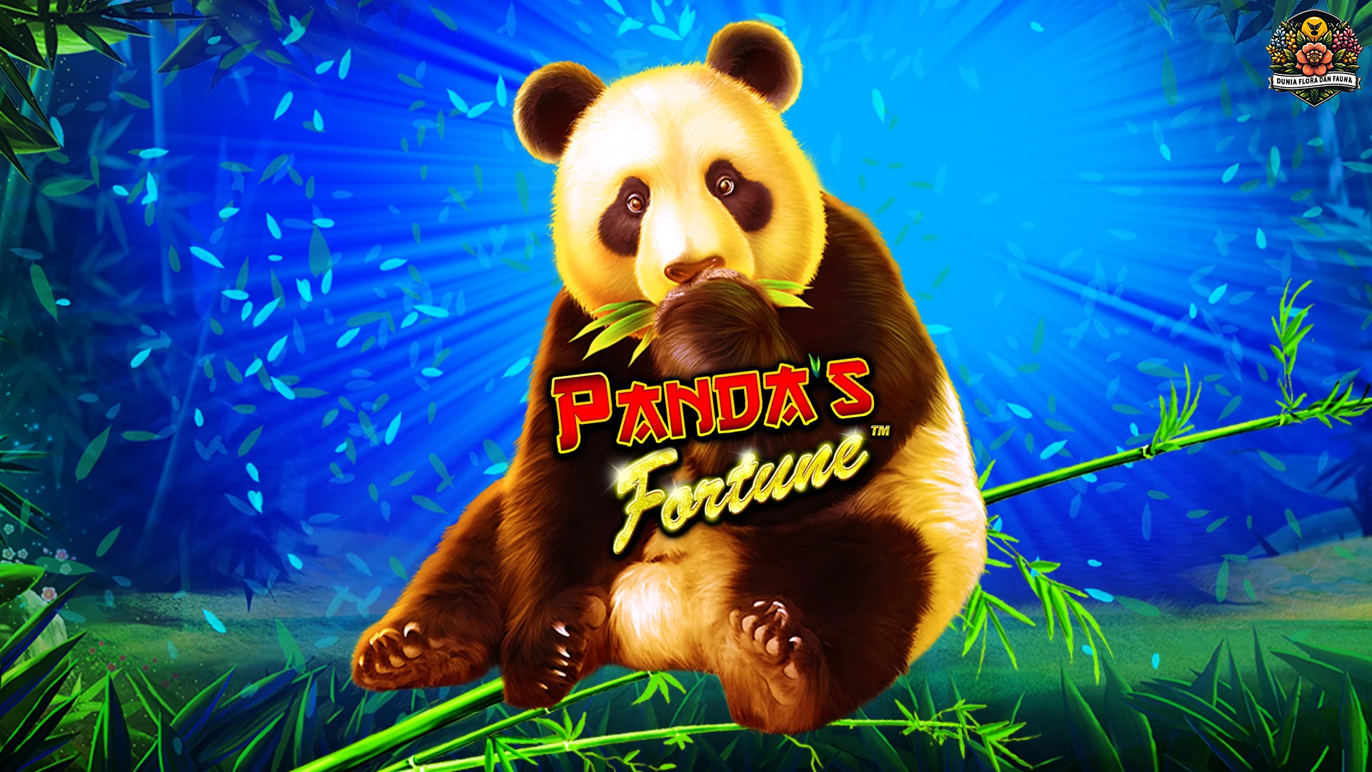 Panda's Fortune: Saatnya Anda Menjadi Jutawan Mendadak