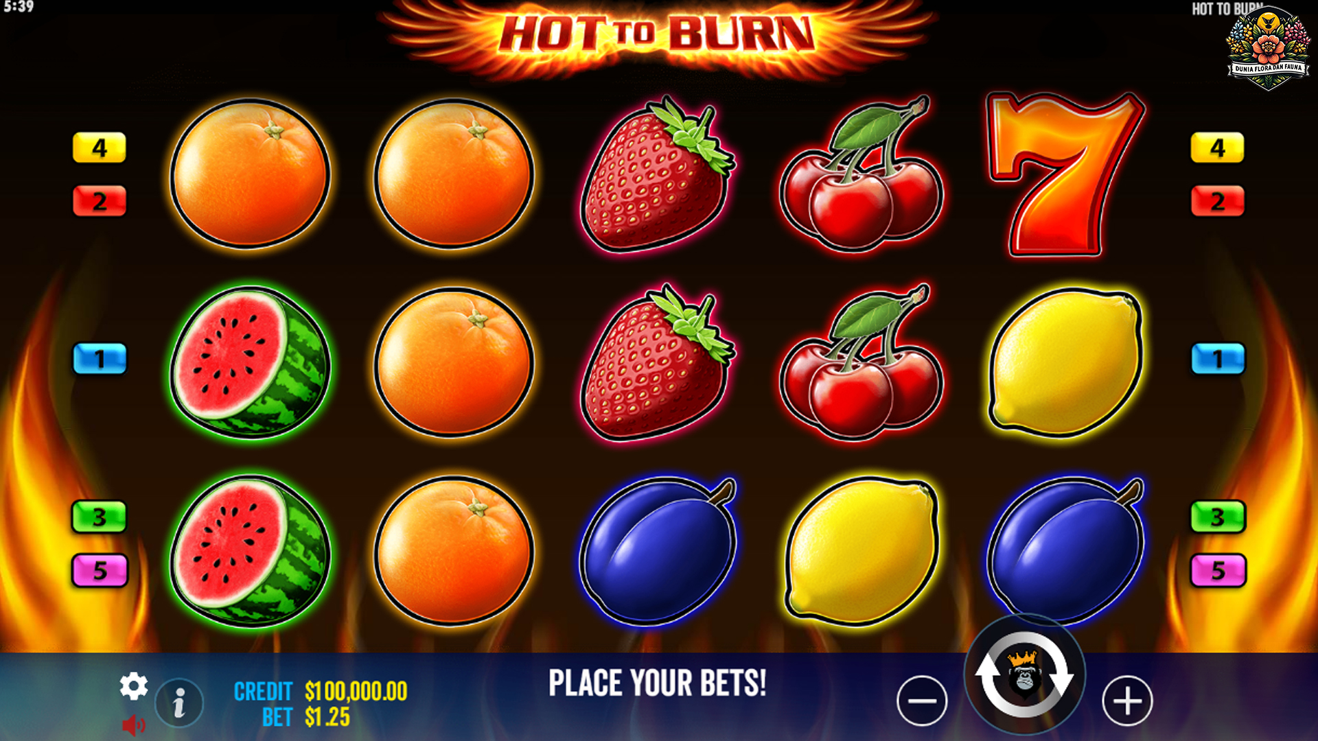 Menari di Atas Bara: Sensasi Panasnya Slot Hot to Burn yang Seru