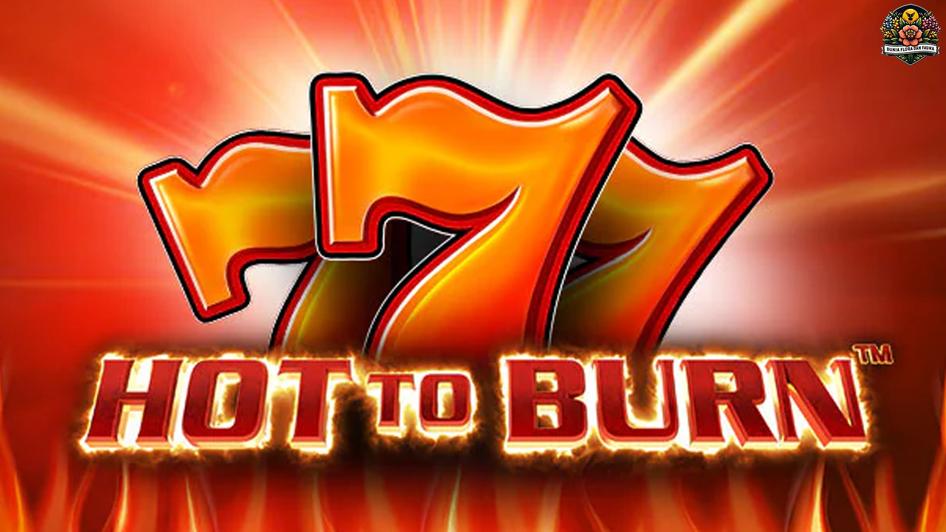 Menari di Atas Bara: Sensasi Panasnya Slot Hot to Burn yang Seru