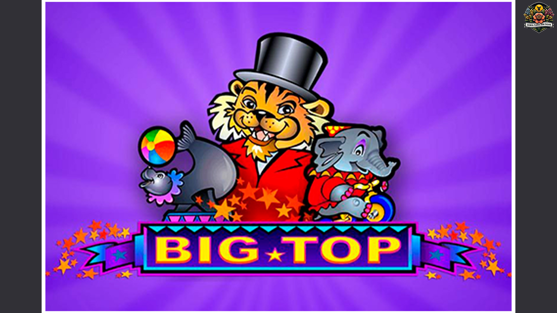 Jangan Sampai Ketinggalan! Keseruan Bermain Slot Big Top