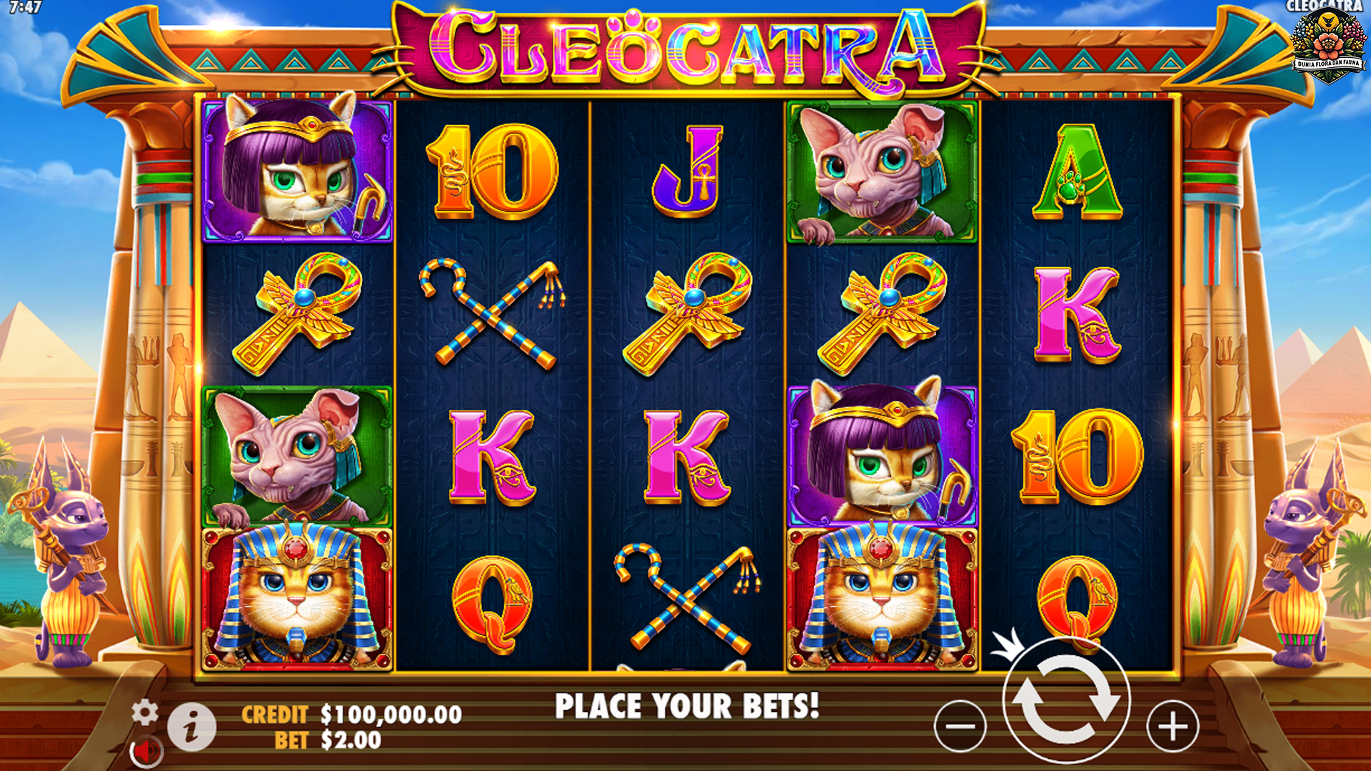 Tempat Terbaik untuk Bermain Slot Cleocatra Online di Indonesia