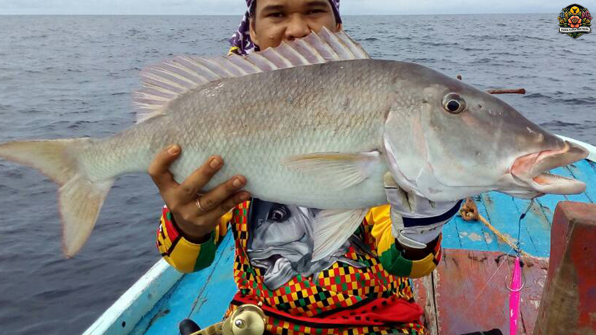 Pesona Ikan Lencam: Peranannya Penting dalam Ekosistem Laut