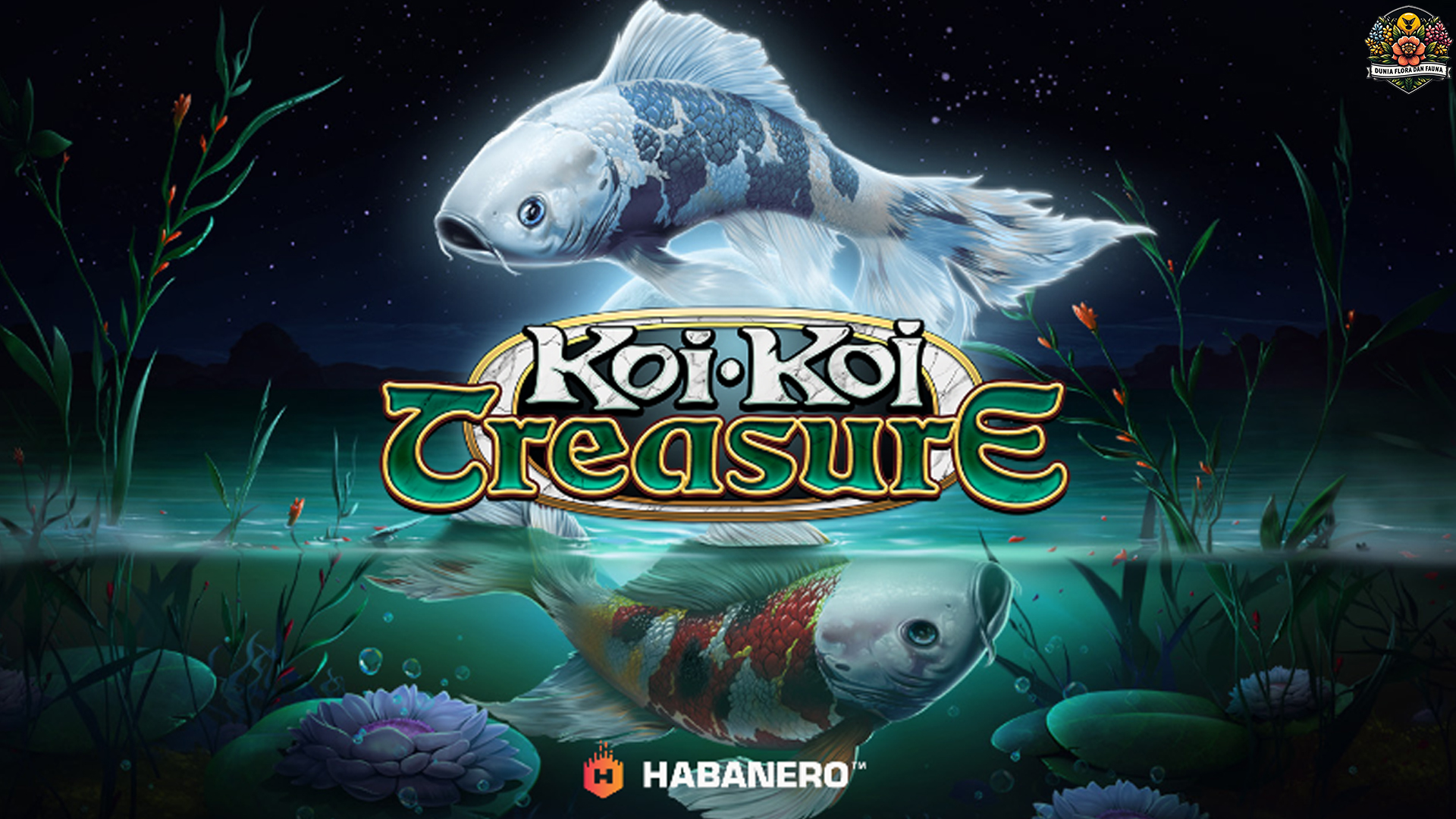 Koi Koi Treasure: Simbol Keberuntungan yang Bikin Penasaran