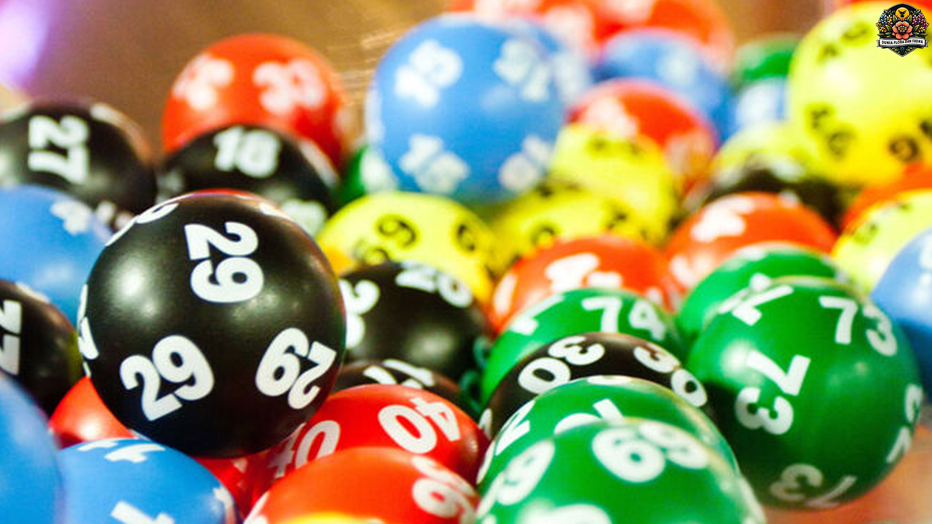 Tingkatkan Kemenangan Anda! Temukan Alasan Coba Togel Online