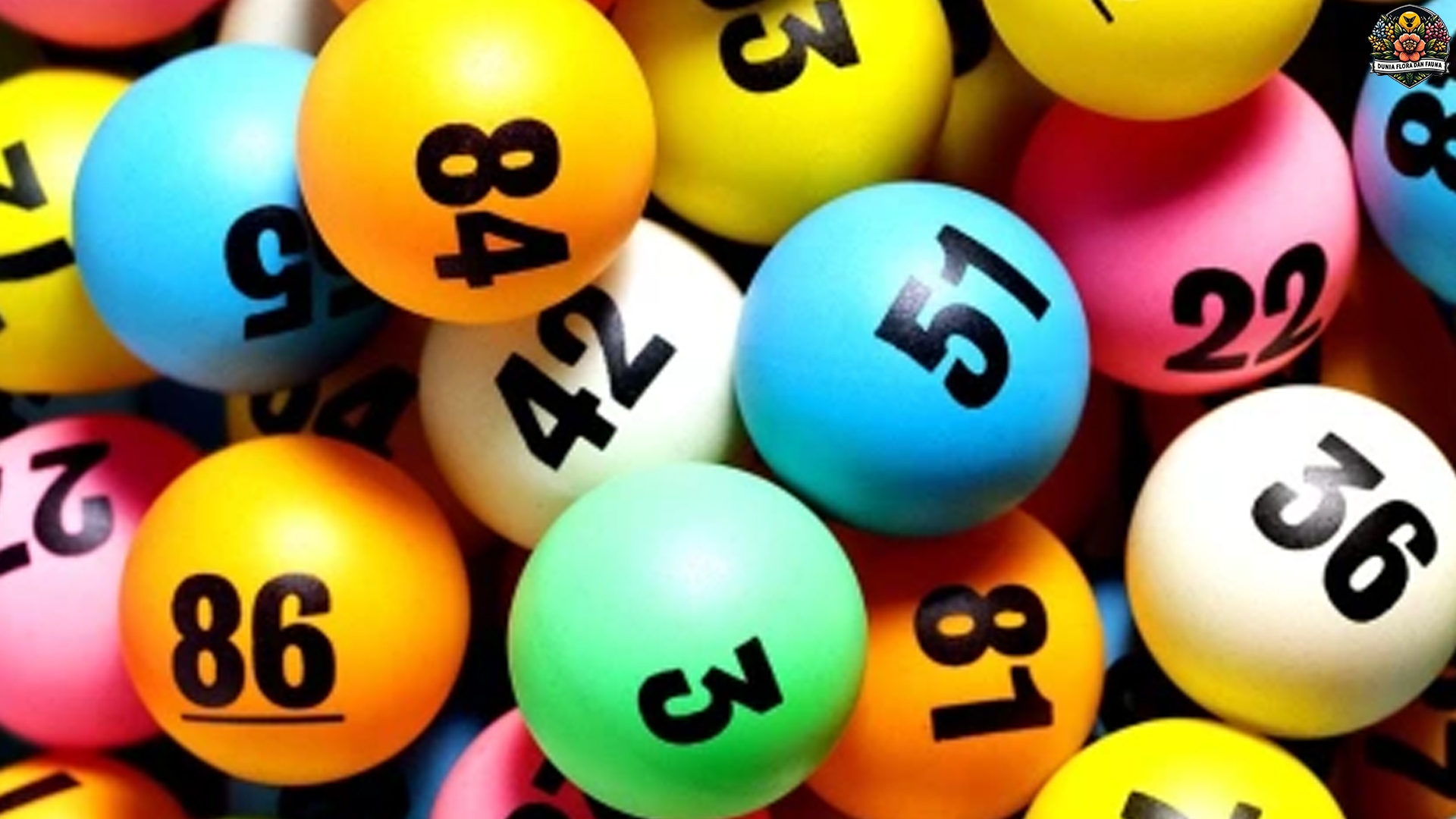 Menangkan Hadiah Besar Berlimpah Mudah di Togel Online