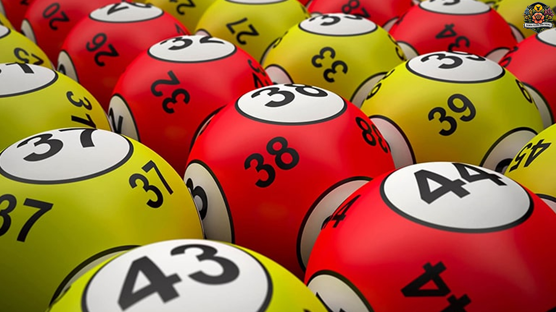 Keberuntungan di Ujung Jari Temukan Situs Togel Terpercaya