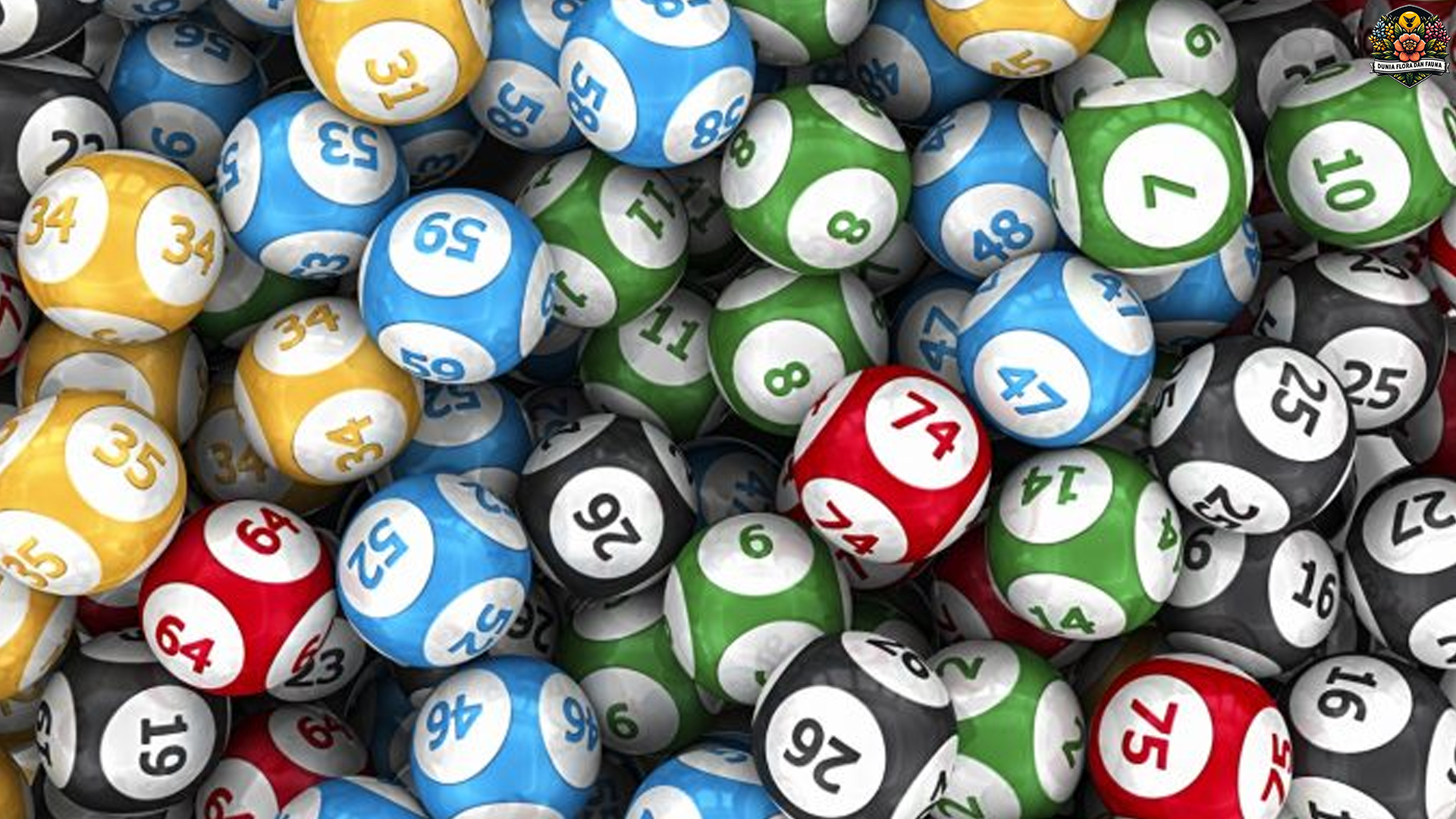 Menangkan Hadiah Besar Berlimpah Mudah di Togel Online