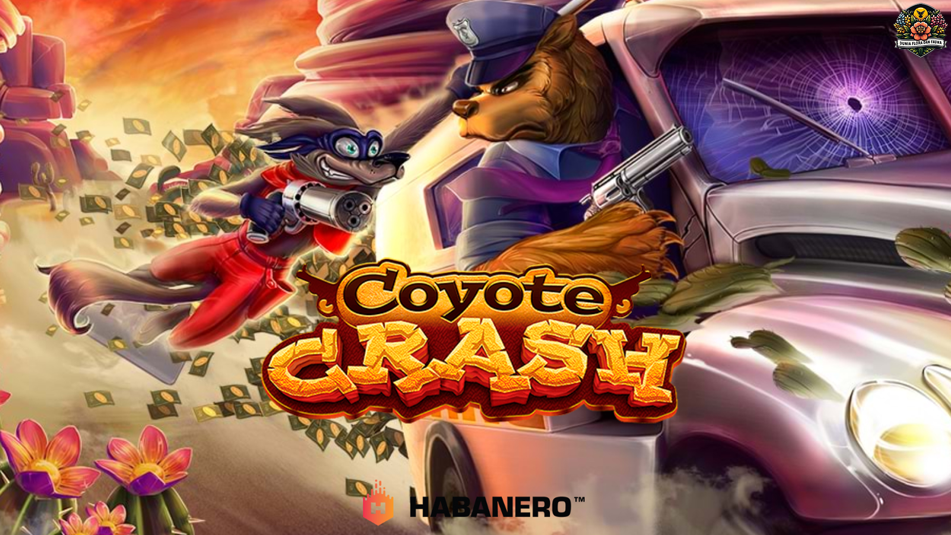 Coyote Crash Bikin Heboh di Dunia Agen Slot Online Terbaik