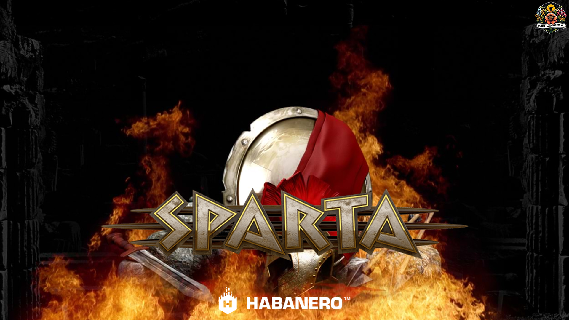 Link Login Slot Gacor Cnnslot Sparta: Auto Cuan Seberani Spartan!