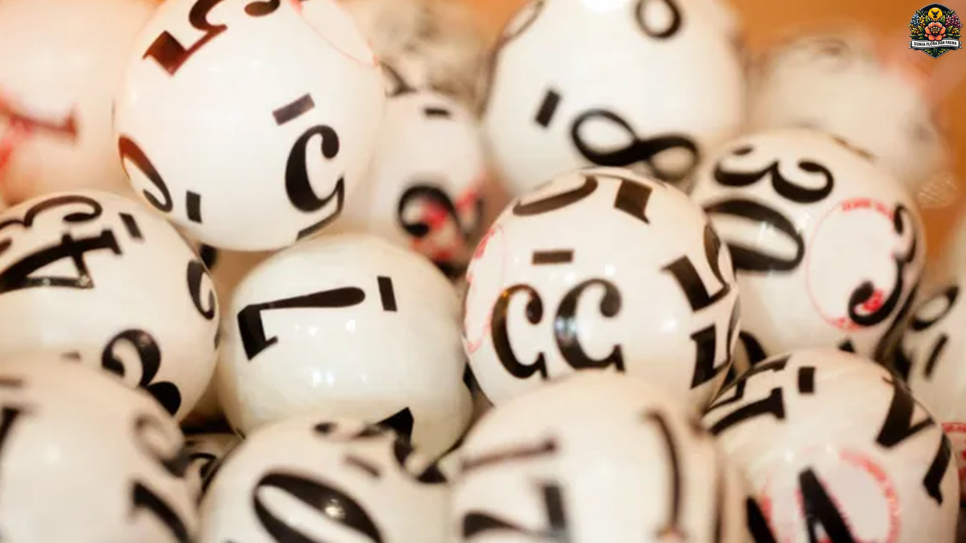 Server Toto Online Andal Jadi Kunci Cepat Jackpot Gampang