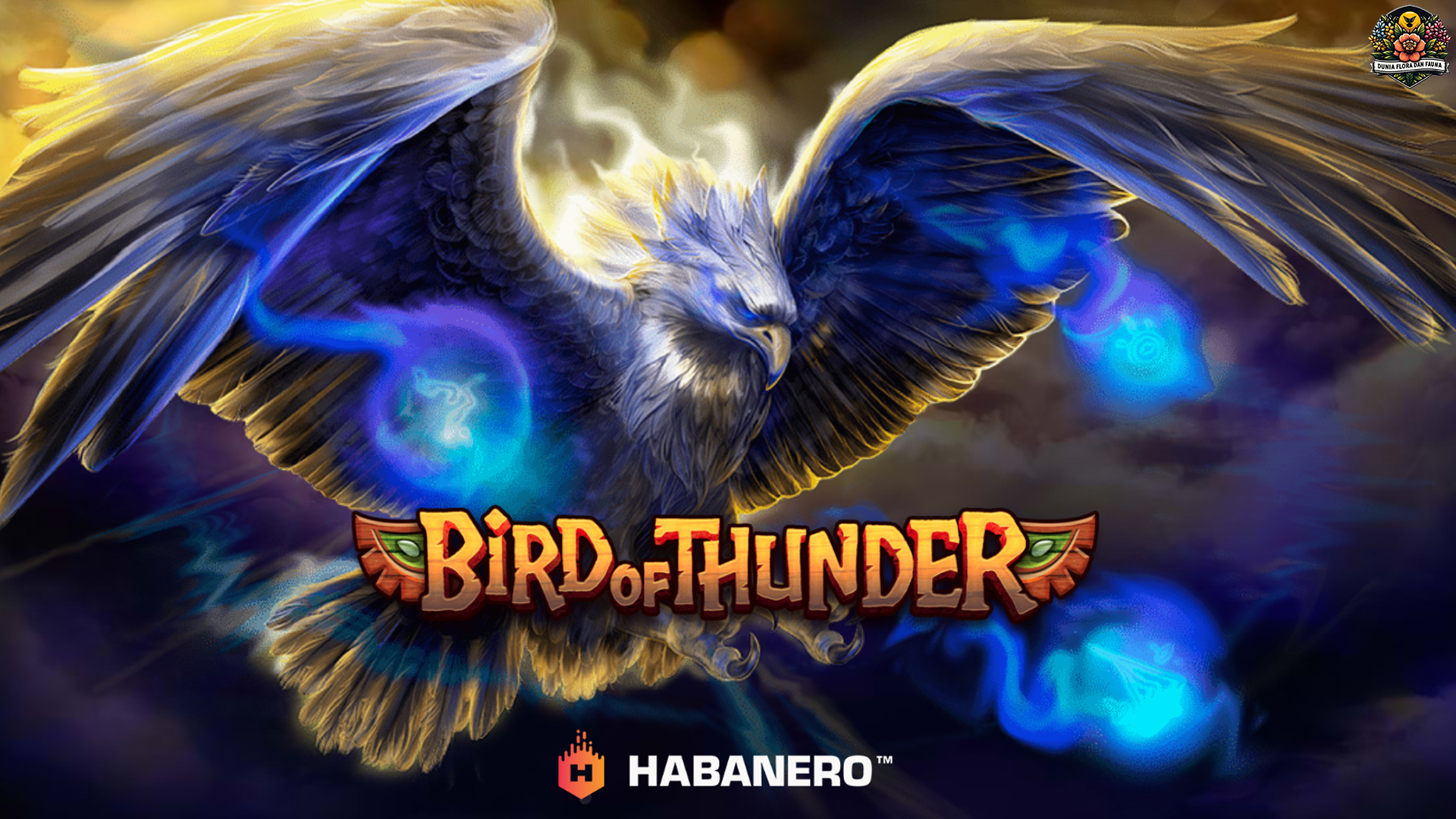 Ruby8000 Daftar Jadi Kunci Sukses Main Bird of Thunder