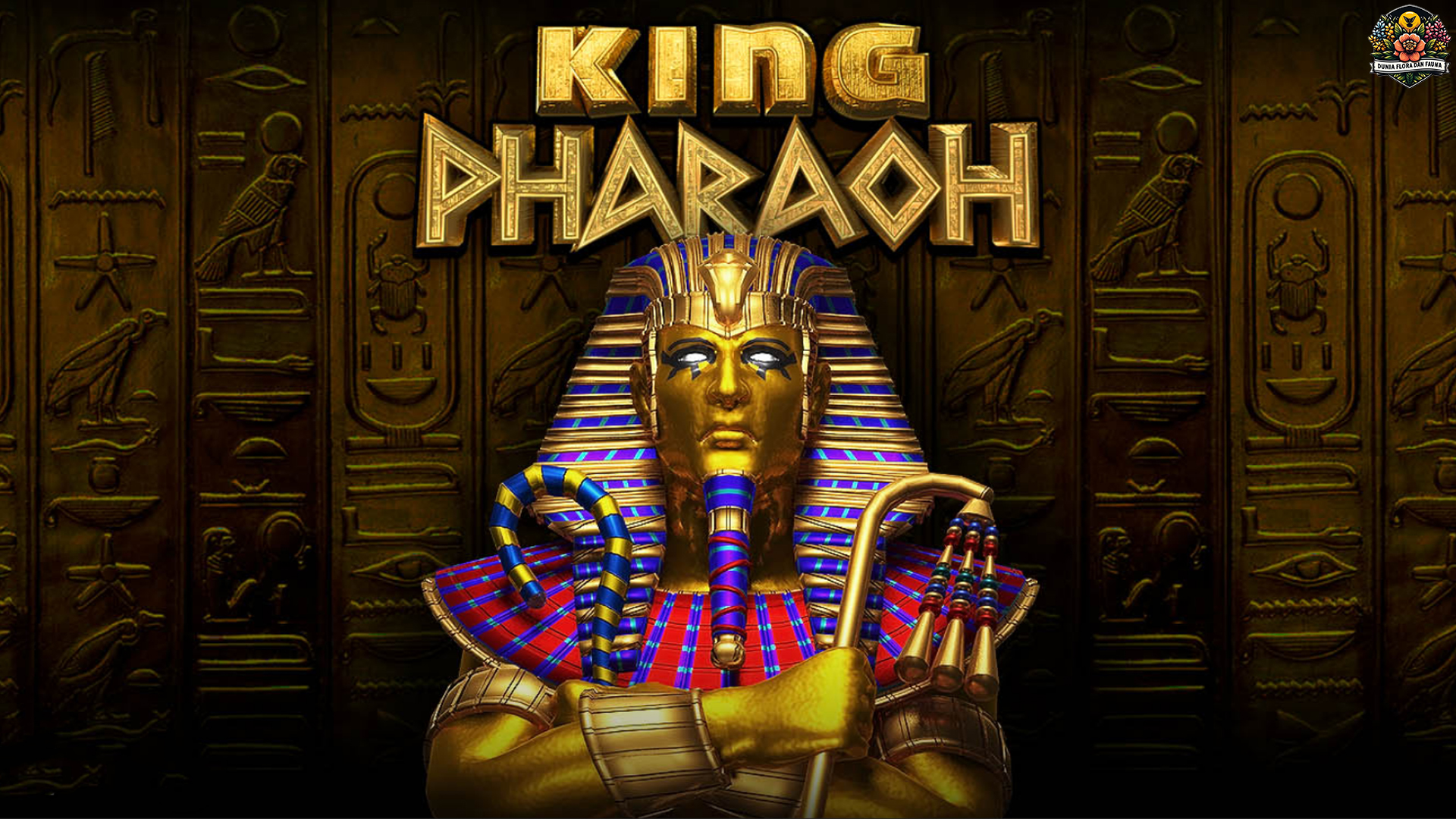 Ruby8000 Perubahan Besar yang Ubah King Pharaoh Sepakat