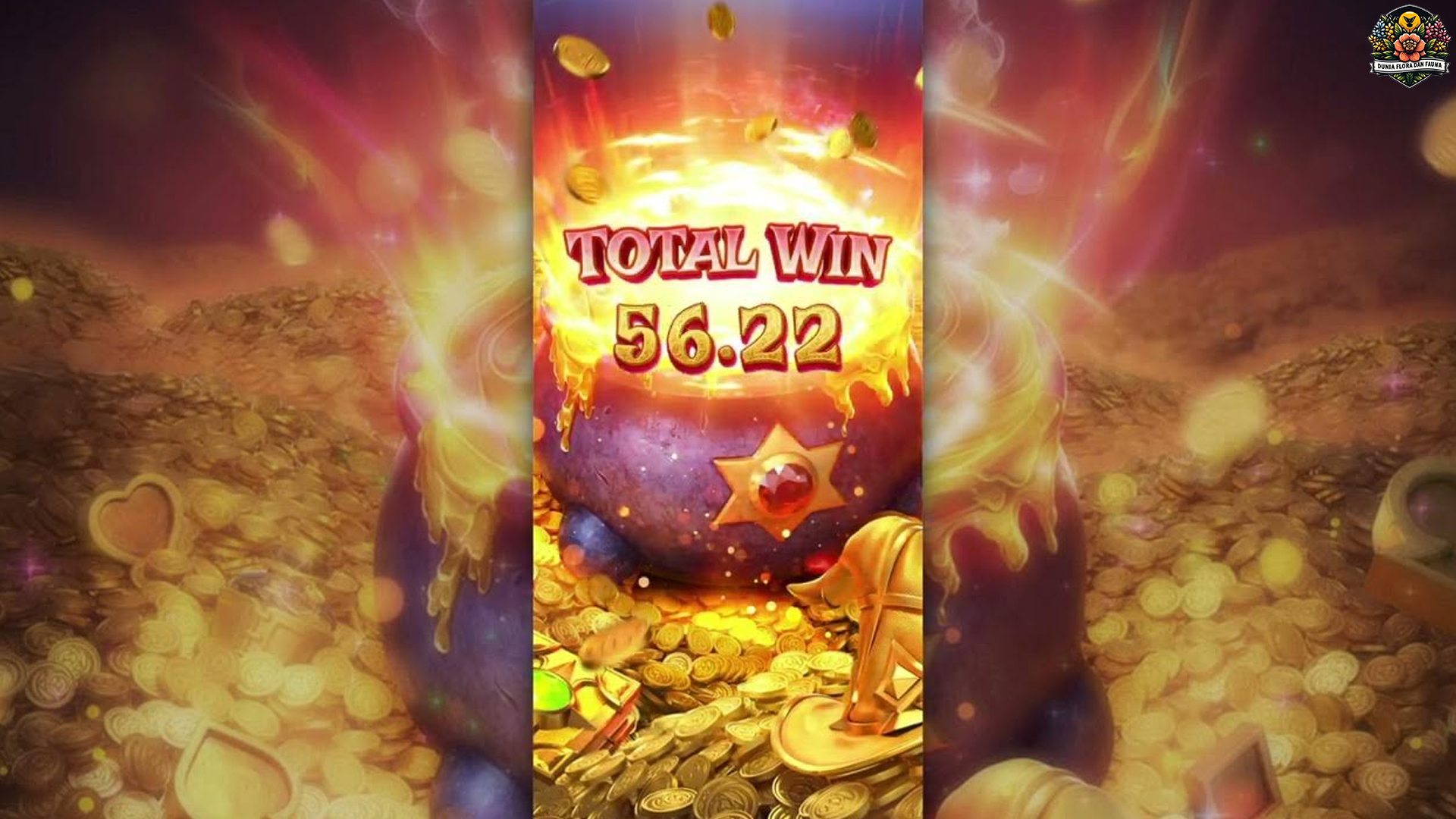 2 24