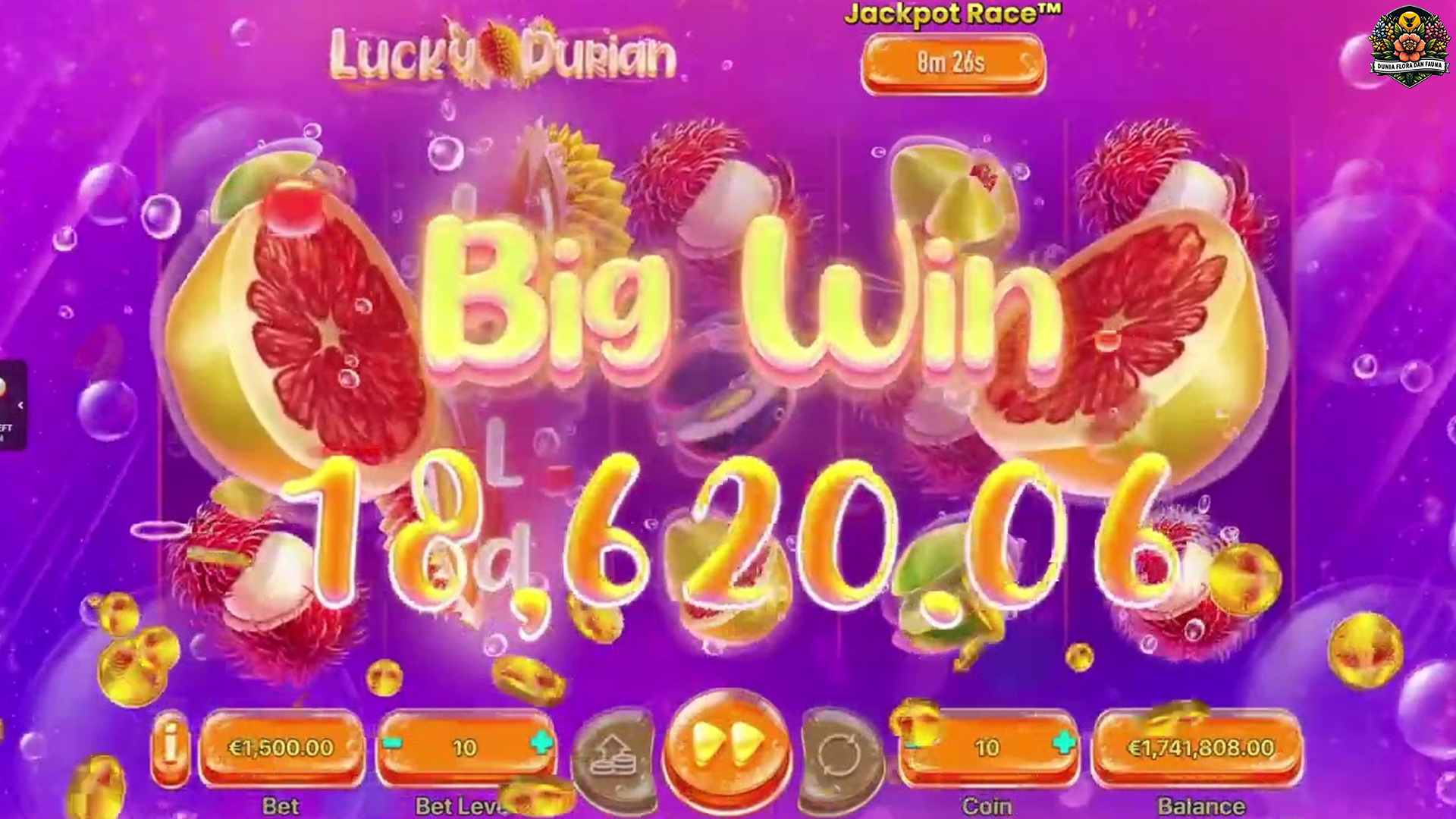 Tinjauan 5 Statistik Kemenangan di Slot Lucky Durian Terkini
