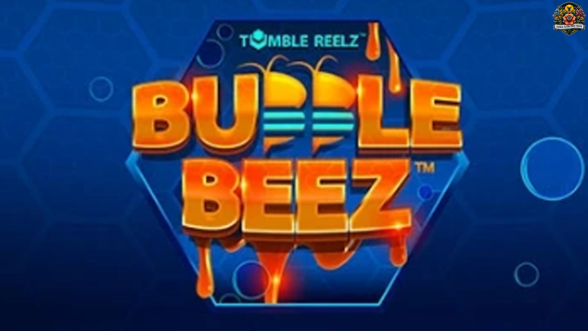Mengapa Tema Slot Bubble Beez Menarik 4 Kalangan Baru