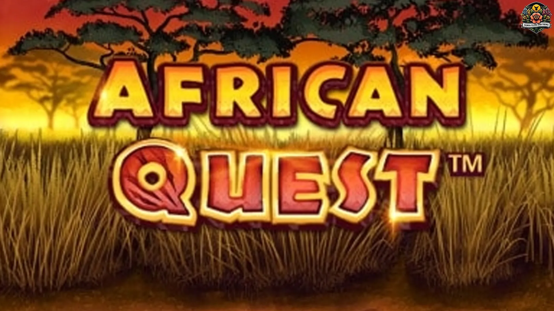 Anatomi Gameplay Struktur Navigasi dalam African Quest 2025