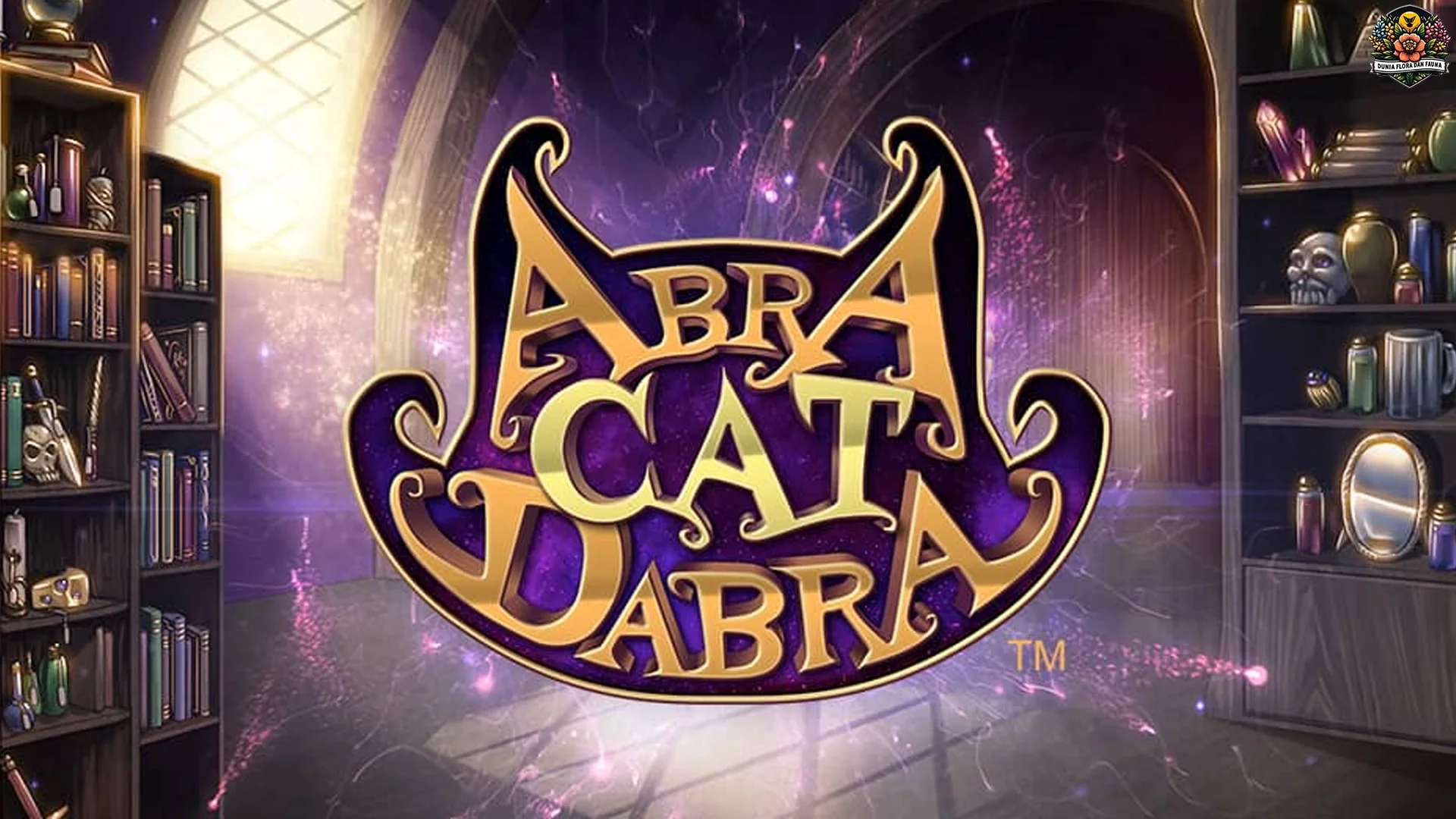 Slot AbraCatDabra Bocoran RTP Tertinggi Hari Ini 98 Persen