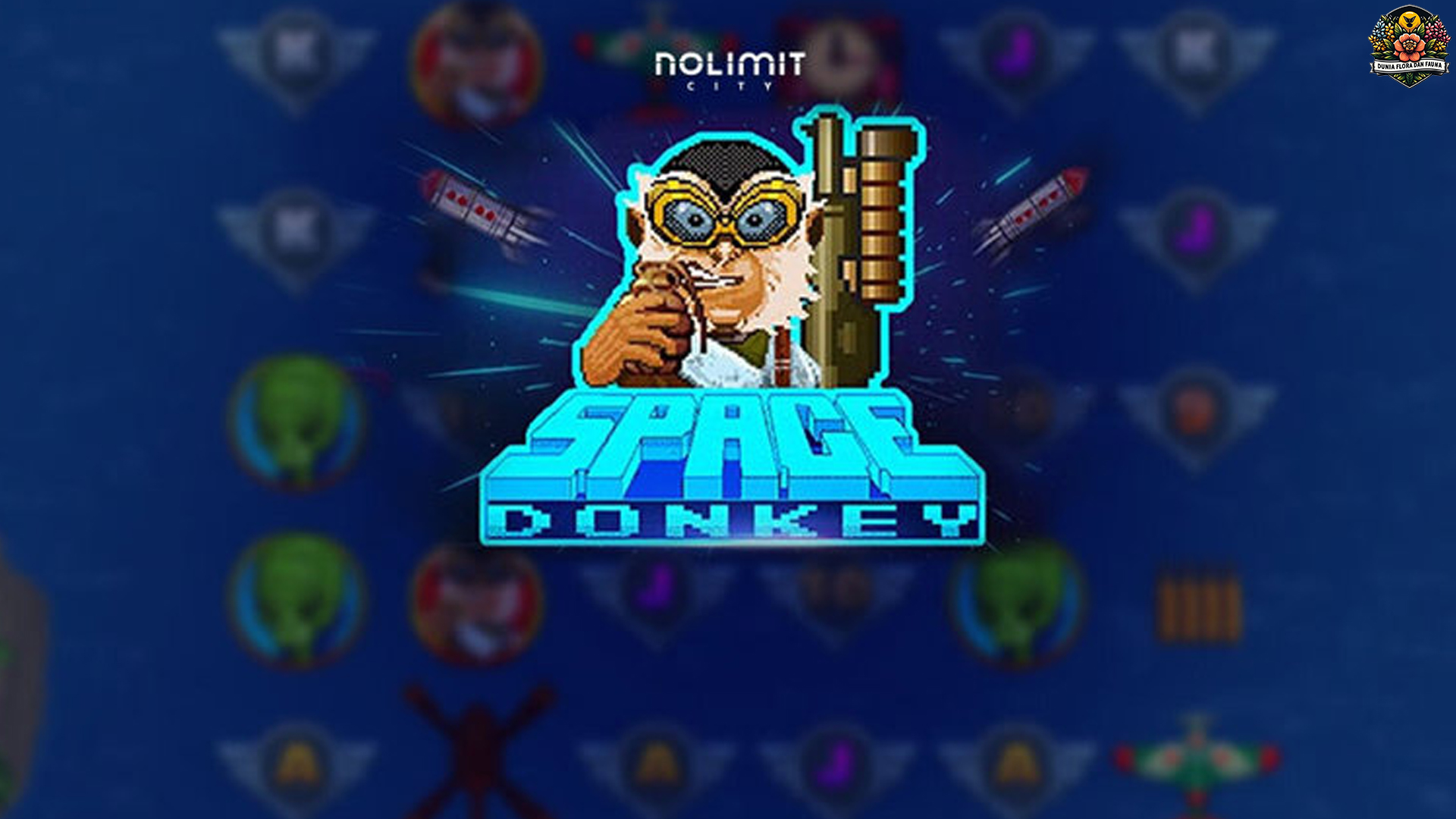 Mengenal Struktur Space Donkey di Ruby 8000 Secara Terperinci