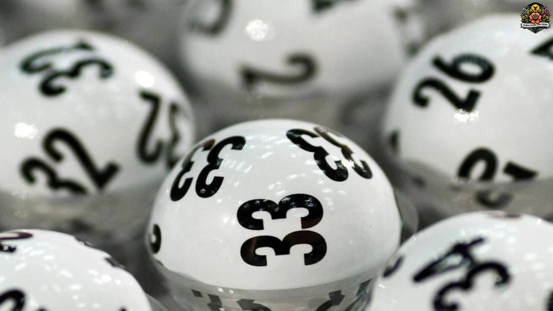 Cara Togel Online Menang 5 Kali Berturut dengan Cnnslot Mudah