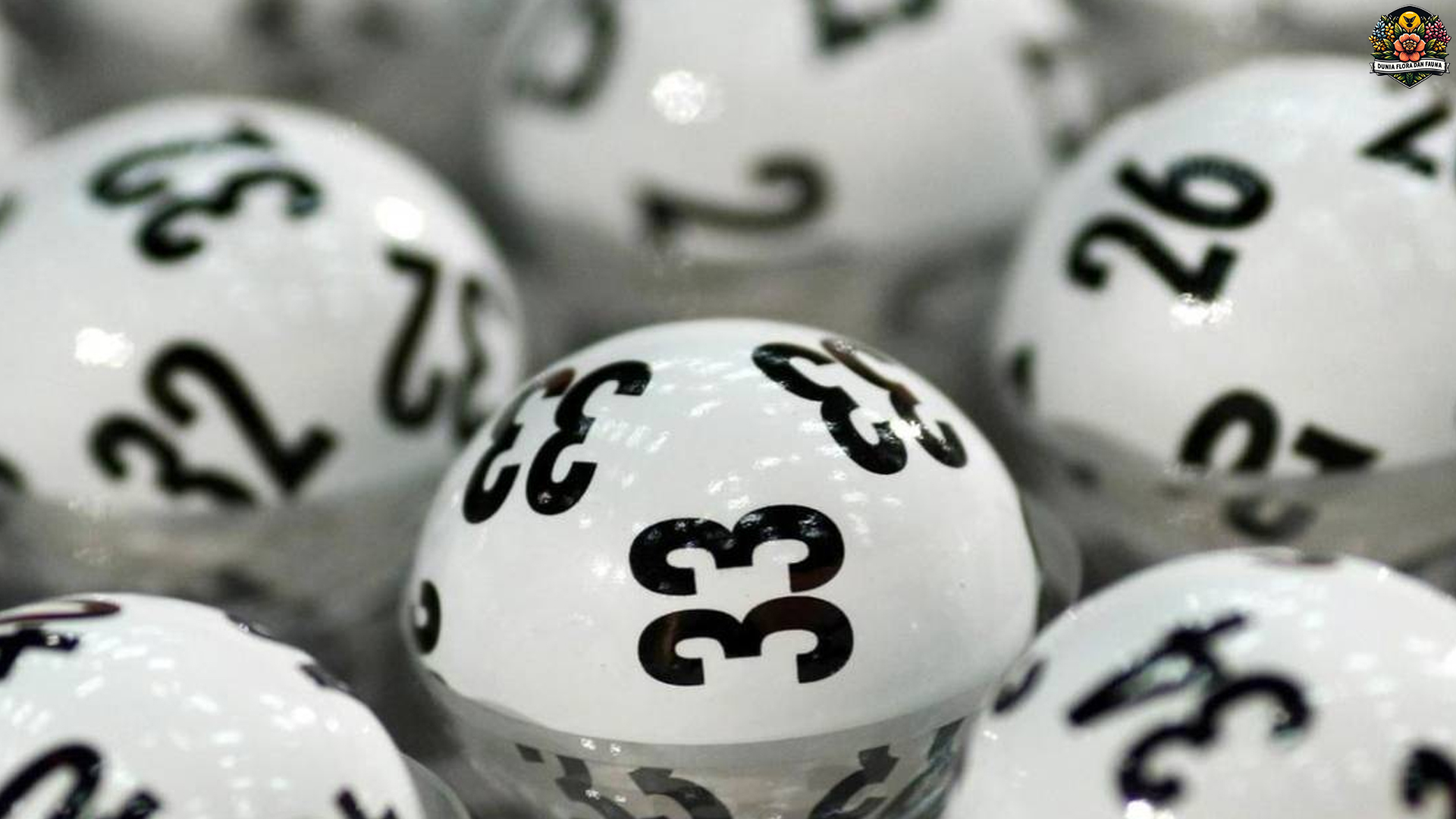 Faktor Populer Agen Togel Online Terpercaya di Tahun 2025