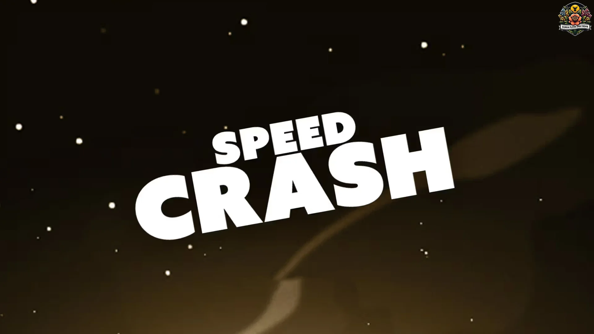 Hasanah! 5 Hal Paling Edan Speed Crash Nu Gaul Banget Euy