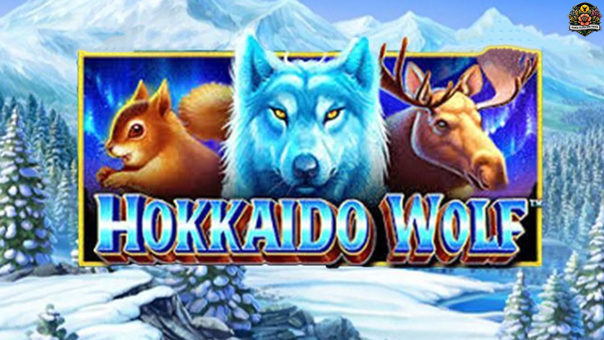 Cing Kageduran Edan 5 Visual Hokkaido Wolf Nu Ngagancang