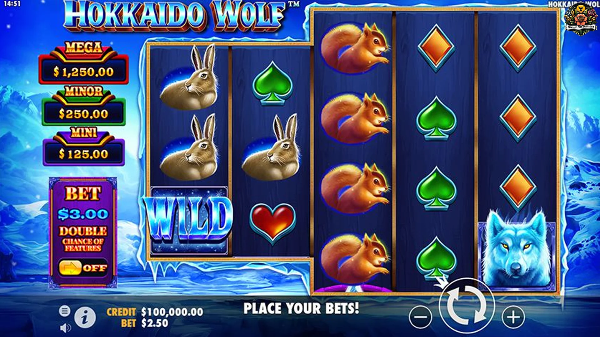 Cing Kageduran Edan 5 Visual Hokkaido Wolf Nu Ngagancang