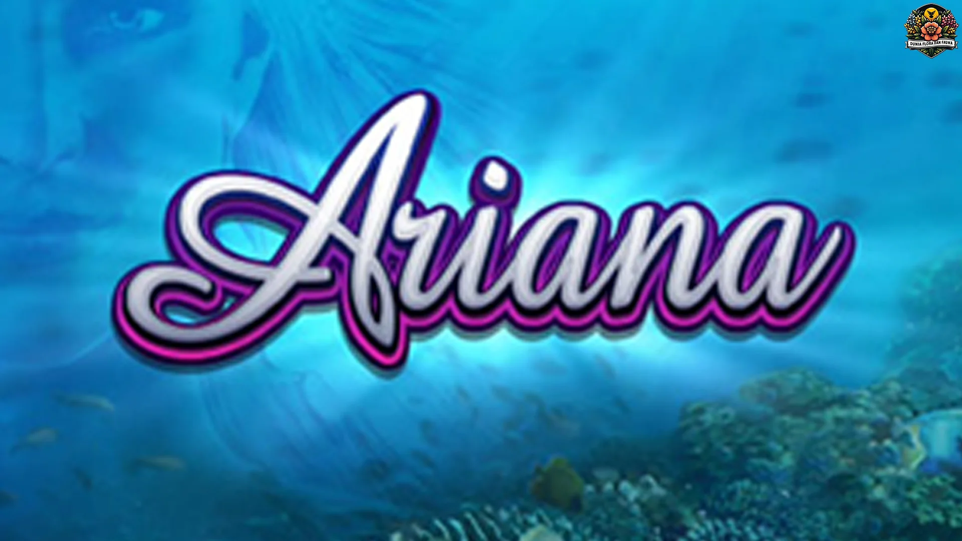 Ariana Cocok Kanggo Pemula? 4 Power Sing Bikin Gampang Adaptasi