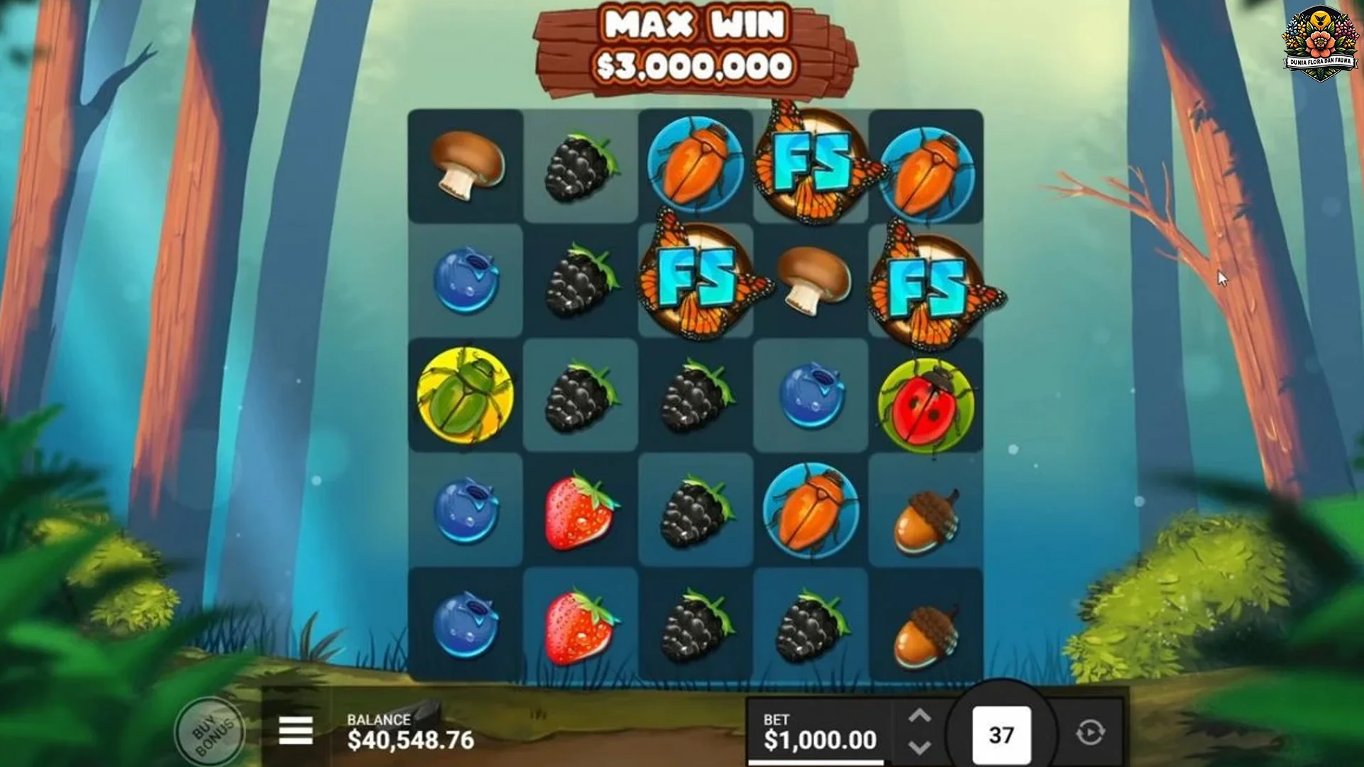 Iso Nggo Healing! 5 Spot "Forest Fortune" sing Bikin Adem Ayem 2 Iso Nggo Healing! 5 Spot "Forest Fortune" sing Bikin Adem Ayem